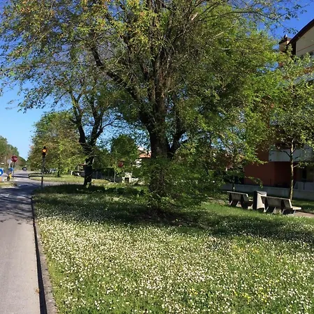 Apartment Fuer 5 Personen Ca 40 Qm In Bibione-pineda, Adriakueste Italien Und Umgebung Bibione